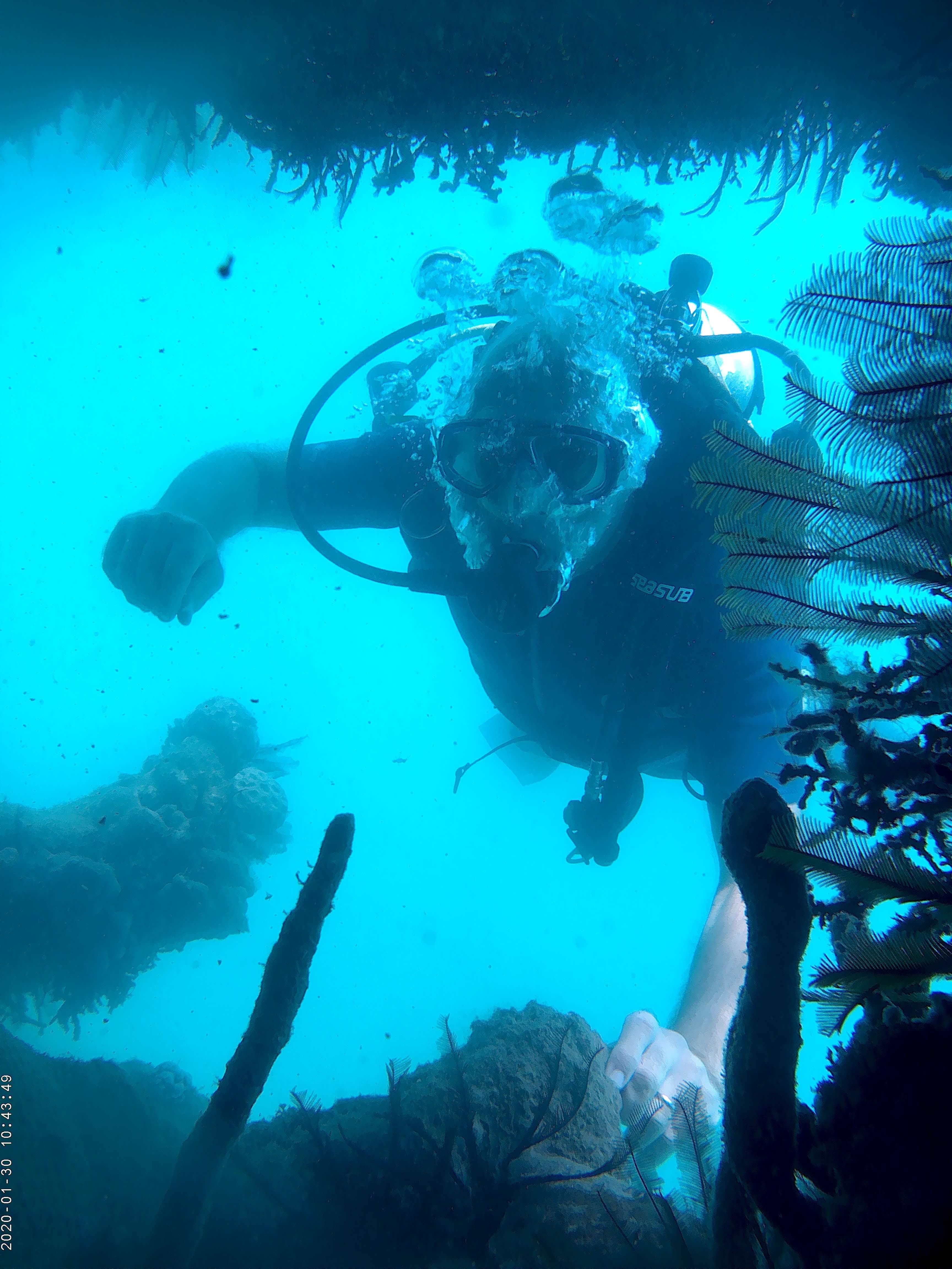 Scuba Diving image 2