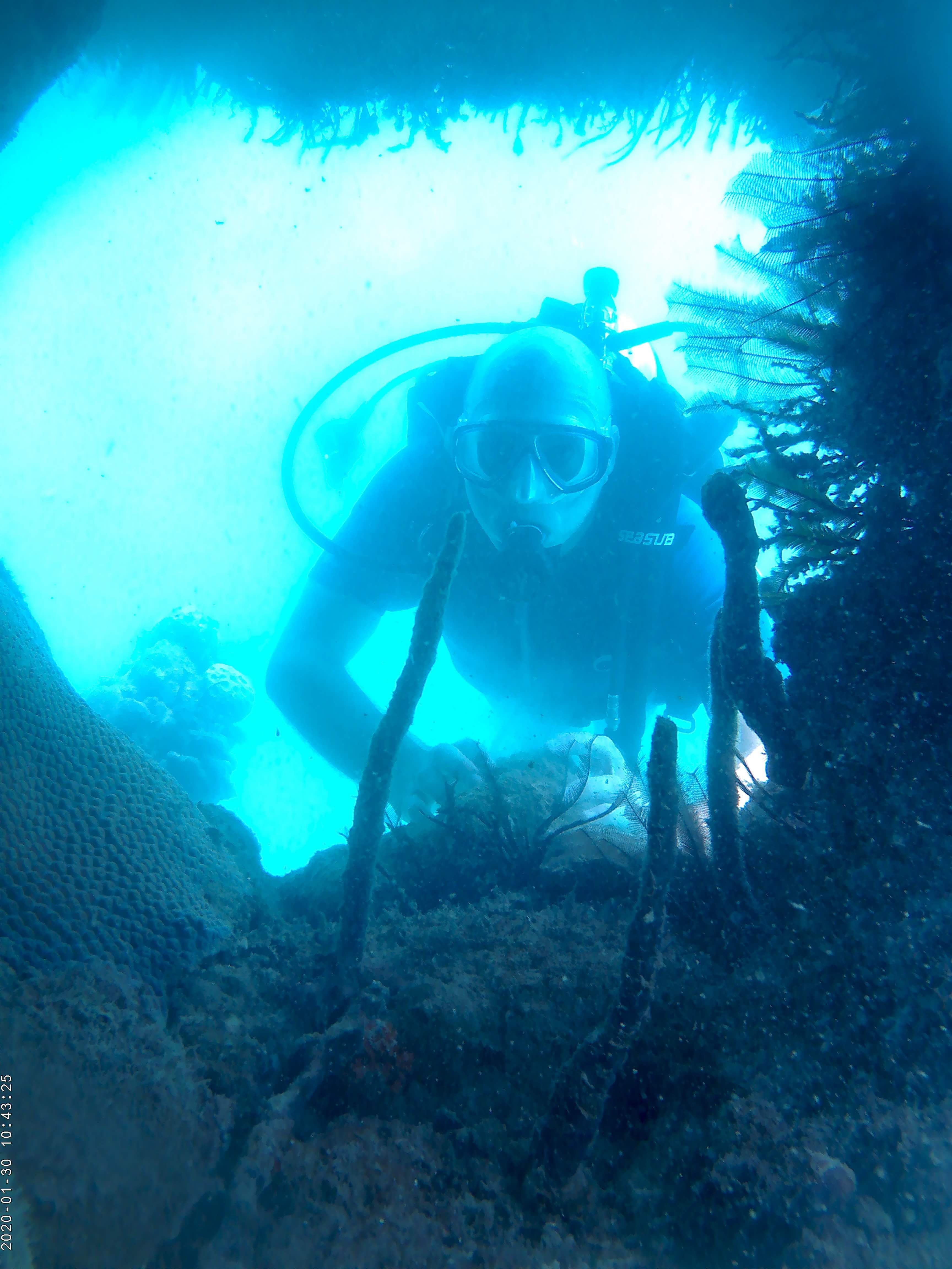 Scuba Diving image 3