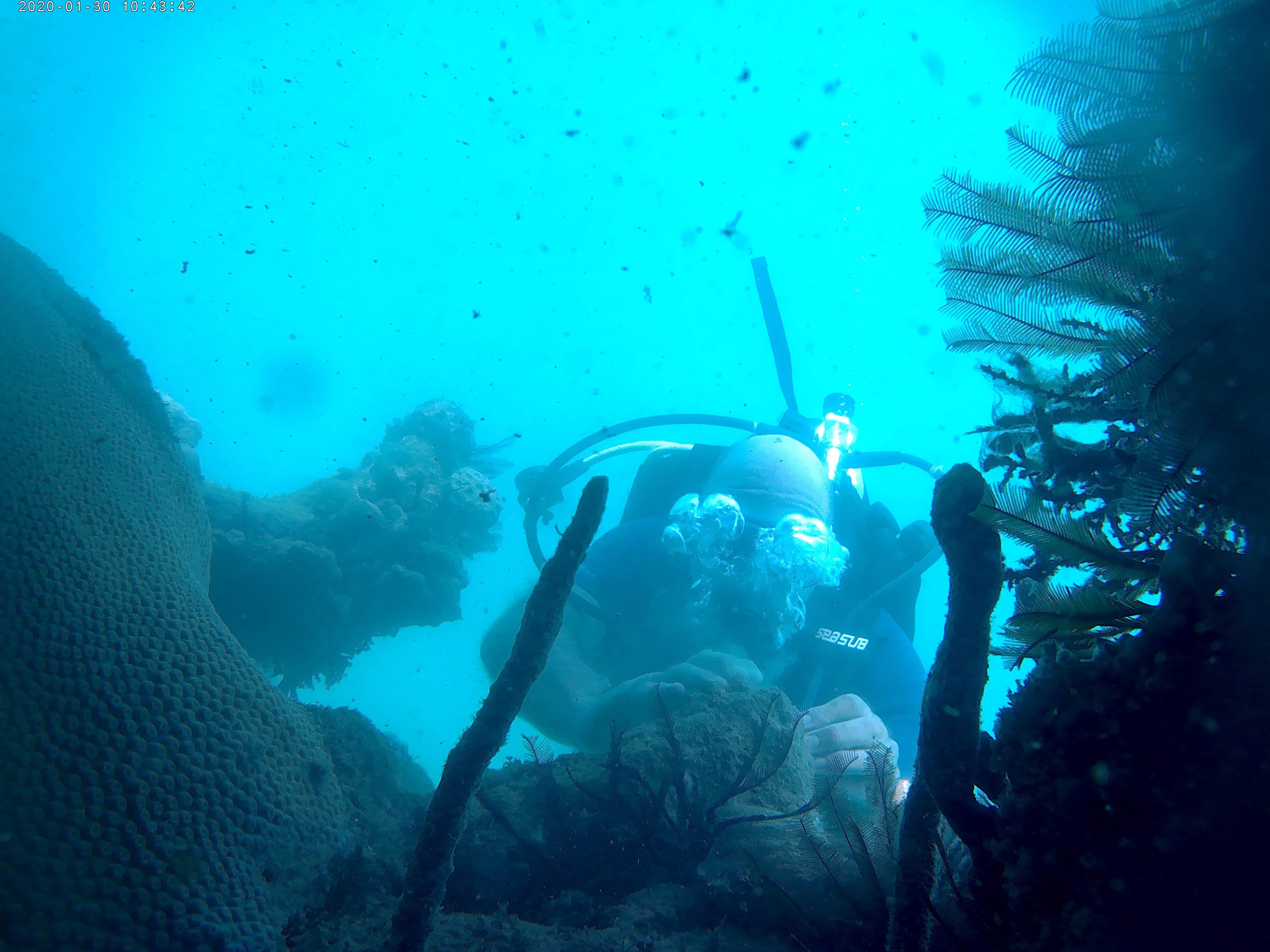 Scuba Diving image 4